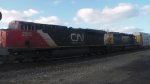 CN LEADING A q241